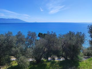 Οικόπεδο 12.289 τ.μ. για πώληση