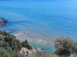 Οικόπεδο 12.289 τ.μ. για πώληση, Ν. Σάμου, Σάμος-thumb-3