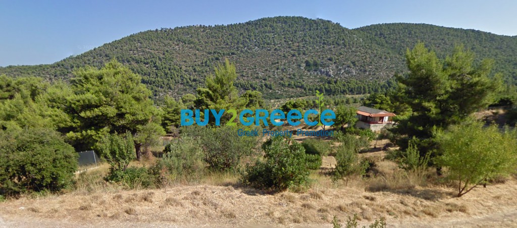 Οικόπεδο 5.544 τ.μ. προς πώληση, Πίσια