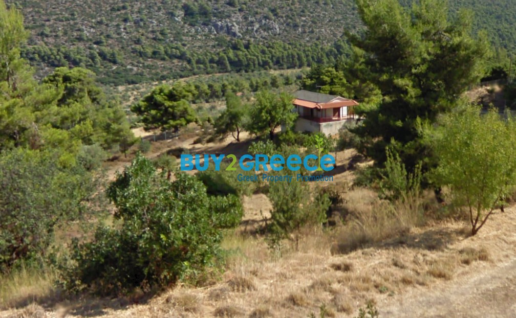 Οικόπεδο 5.544 τ.μ. προς πώληση, Πίσια