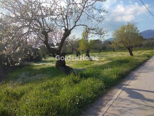 Αγροτεμάχια 1.900 τ.μ. για πώληση
