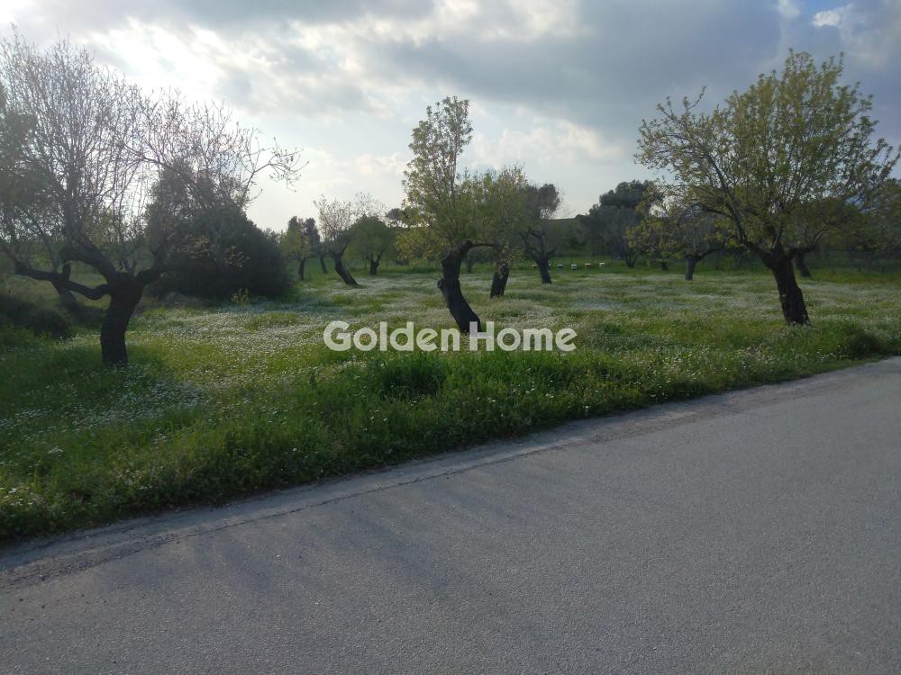 Αγροτεμάχια 1.900 τ.μ. προς πώληση, Κουκάκι Αμαρύνθου