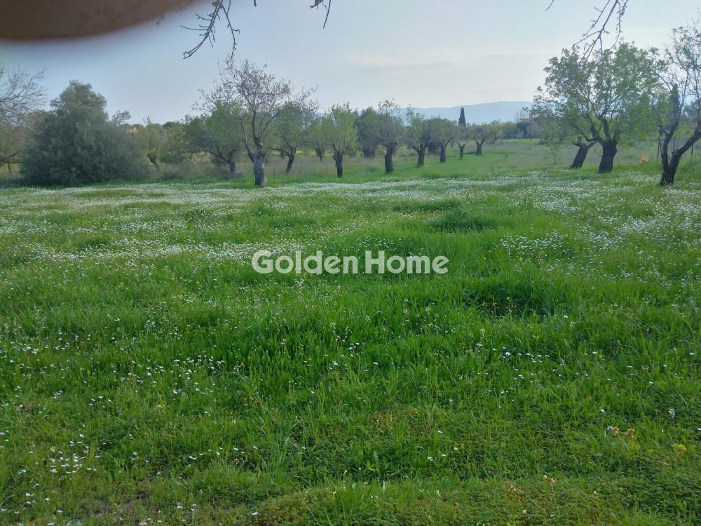 Αγροτεμάχια 1.900 τ.μ. προς πώληση, Κουκάκι Αμαρύνθου