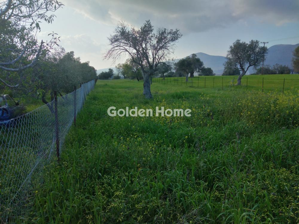 Αγροτεμάχια 1.500 τ.μ. προς πώληση, Κουκάκι Αμαρύνθου