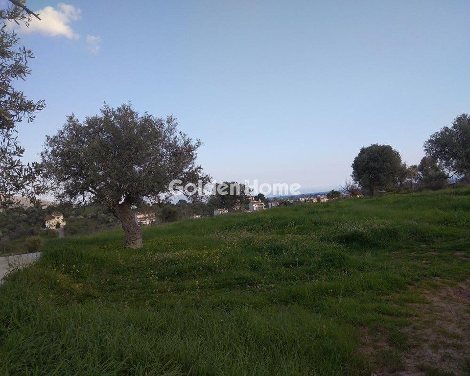 Αγροτεμάχια 1.500 τ.μ. προς πώληση, Κουκάκι Αμαρύνθου