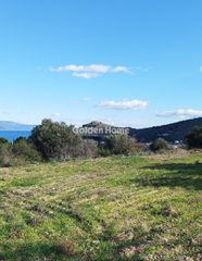 Αγροτεμάχια 4.003 τ.μ. για πώληση