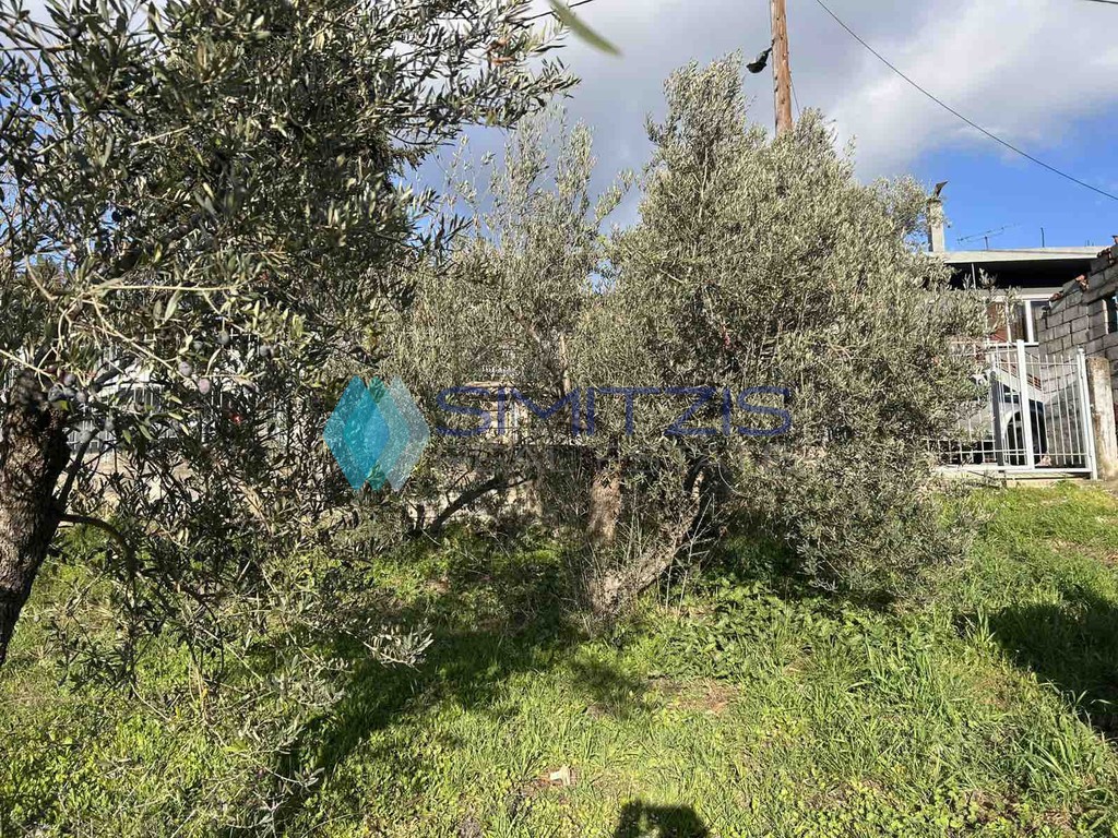 Οικόπεδο 750 τ.μ. πρός πώληση, Εύβοια, Μεσσαπία