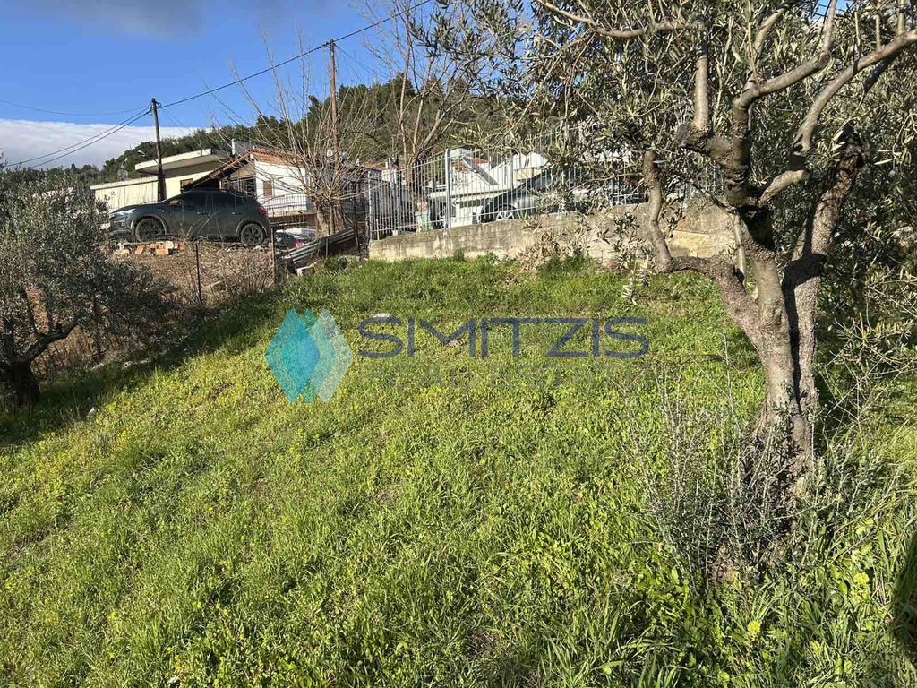 Οικόπεδο 750 τ.μ. πρός πώληση, Εύβοια, Μεσσαπία