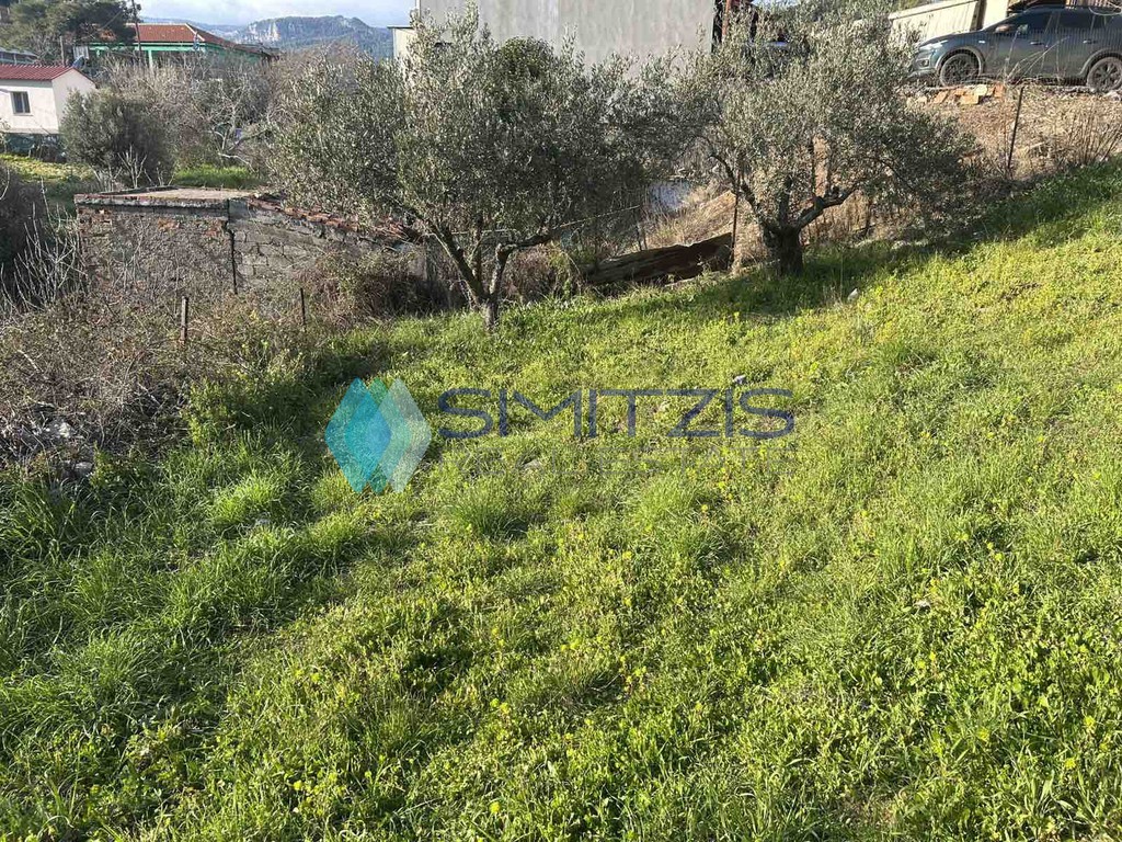 Οικόπεδο 750 τ.μ. πρός πώληση, Εύβοια, Μεσσαπία