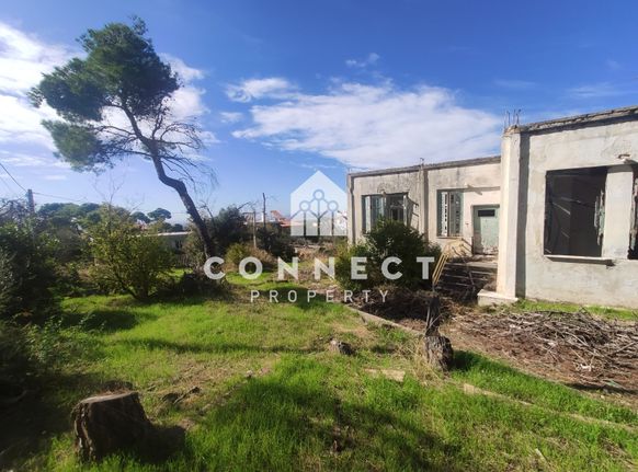 Land plot 4.720 sqm for sale, Athens - West, Acharnes