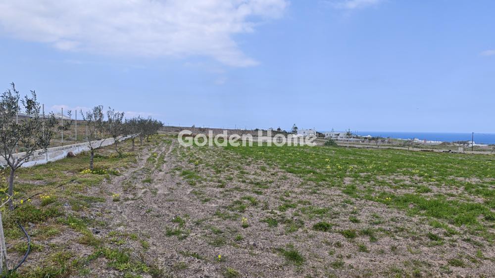 Οικόπεδο 4.000 τ.μ. προς ενοικίαση, Θήρα