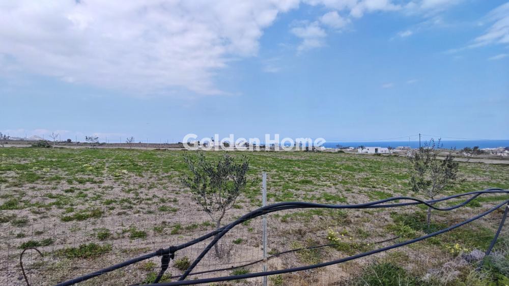 Οικόπεδο 4.000 τ.μ. προς ενοικίαση, Θήρα