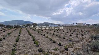 Οικόπεδο 4.000 τ.μ. για ενοικίαση, Κυκλάδες, Σαντορίνη-thumb-5