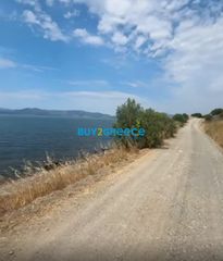 Αγροτεμάχια 9.158 τ.μ. για πώληση