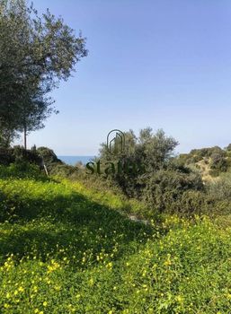Αγροτεμάχια 500 τ.μ. για πώληση