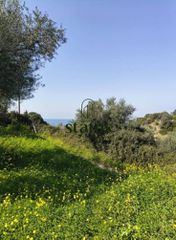 Αγροτεμάχια 500 τ.μ. για πώληση