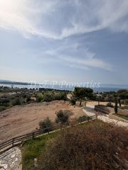 Οικόπεδο 8.000 τ.μ. για πώληση