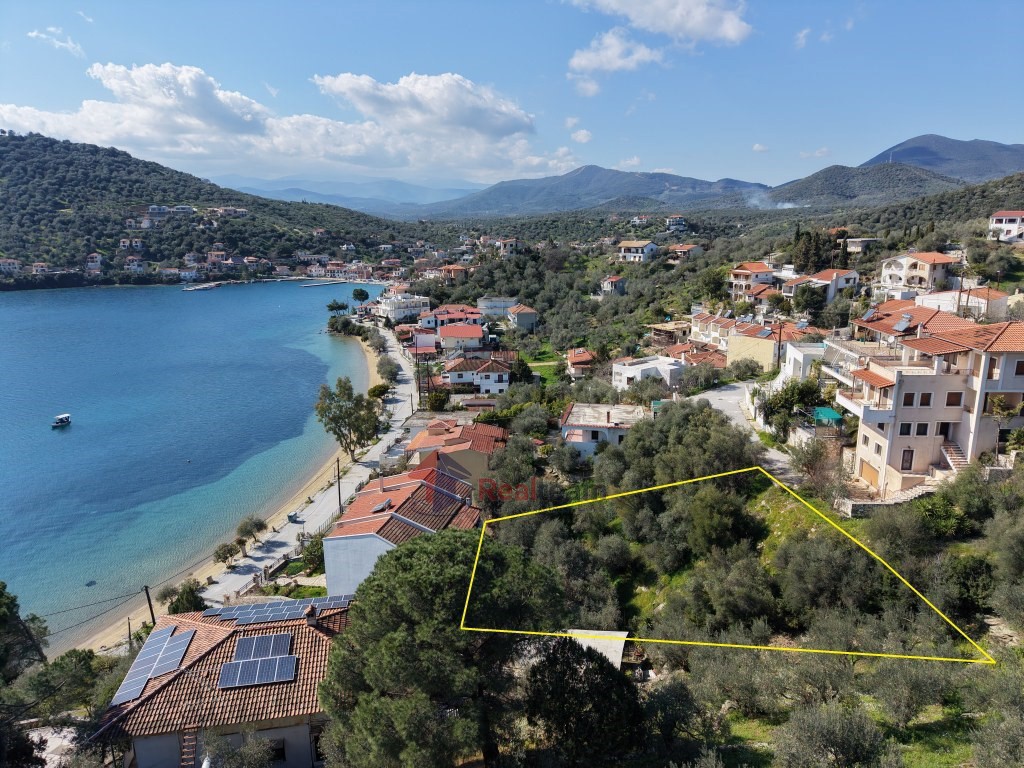 Οικόπεδο 552 τ.μ. πρός πώληση, Μαγνησία, Πτελεός