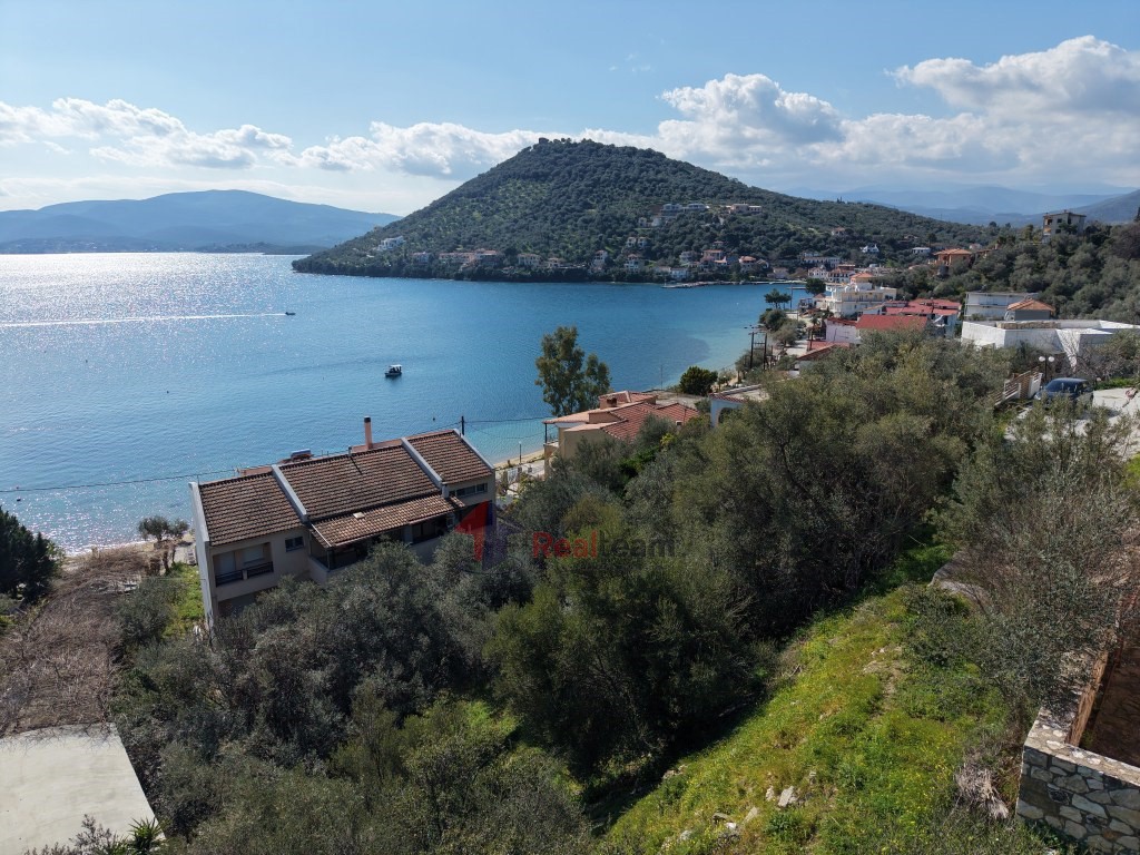 Οικόπεδο 552 τ.μ. πρός πώληση, Μαγνησία, Πτελεός