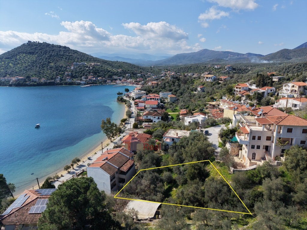 Οικόπεδο 552 τ.μ. πρός πώληση, Μαγνησία, Πτελεός