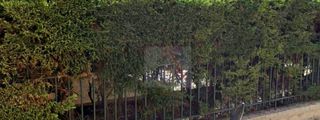 Αγροτεμάχια 188 τ.μ. για πώληση