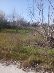 Οικόπεδο 375 τ.μ. για πώληση, Ν. Πιερίας, Παραλία-thumb-1
