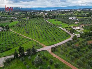 Οικόπεδο 4.070 τ.μ. προς πώληση, Πετροθάλασσα-thumb-23