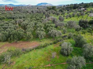 Οικόπεδο 4.070 τ.μ. προς πώληση, Πετροθάλασσα-thumb-13