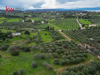 Οικόπεδο 4.070 τ.μ. προς πώληση, Πετροθάλασσα-thumb-7