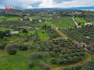 Οικόπεδο 4.070 τ.μ. προς πώληση, Πετροθάλασσα-thumb-5