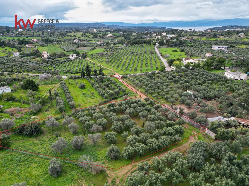 Οικόπεδο 4.070 τ.μ. προς πώληση, Πετροθάλασσα