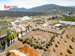 Οικόπεδο 9.716 τ.μ. για πώληση, Αργολίδα, Ναύπλιο-thumb-5