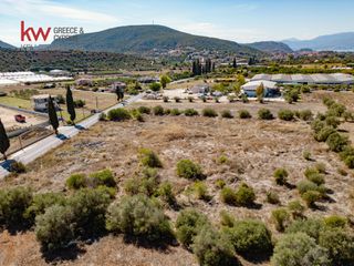 Οικόπεδο 9.716 τ.μ. για πώληση, Αργολίδα, Ναύπλιο-thumb-13