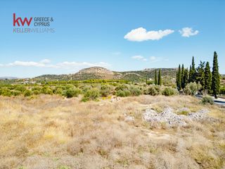 Οικόπεδο 9.716 τ.μ. για πώληση, Αργολίδα, Ναύπλιο-thumb-22