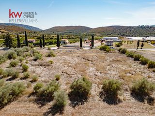 Οικόπεδο 9.716 τ.μ. για πώληση, Αργολίδα, Ναύπλιο-thumb-17
