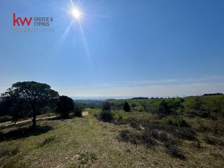 Οικόπεδο 741,11 τ.μ. για πώληση, Θεσσαλονίκη - Περιφ/Κοί Δήμοι, Πανόραμα-thumb-1