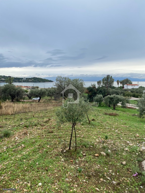 Αγροτεμάχια 5.137 τ.μ. προς πώληση, Βερβερούδα