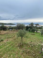 Αγροτεμάχια 5.137 τ.μ. για πώληση