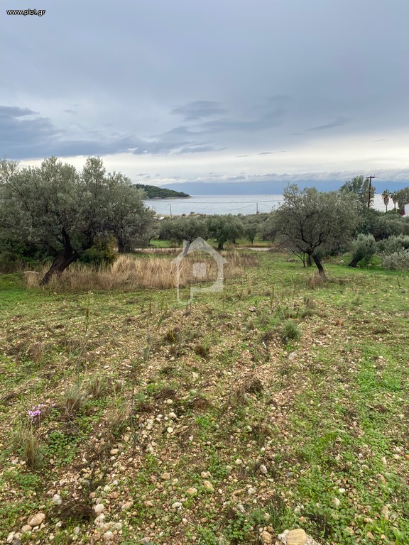 Αγροτεμάχια 5.137 τ.μ. προς πώληση, Βερβερούδα