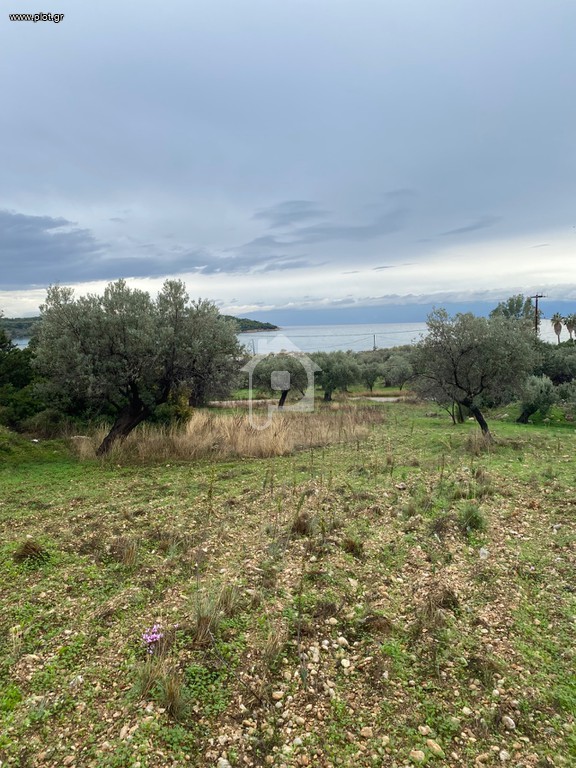 Αγροτεμάχια 5.137 τ.μ. προς πώληση, Βερβερούδα