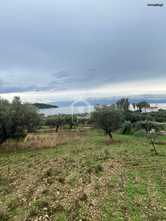 Αγροτεμάχια 5.137 τ.μ. προς πώληση, Βερβερούδα