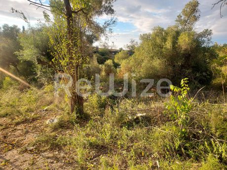 Αγροτεμάχια 2.108 τ.μ. προς πώληση