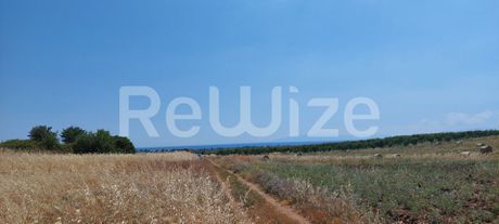 Αγροτεμάχια 24.000 τ.μ. προς πώληση