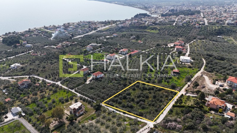 Οικόπεδο 4.002 τ.μ. προς πώληση, Μάραθος Νέας Αγχιάλου