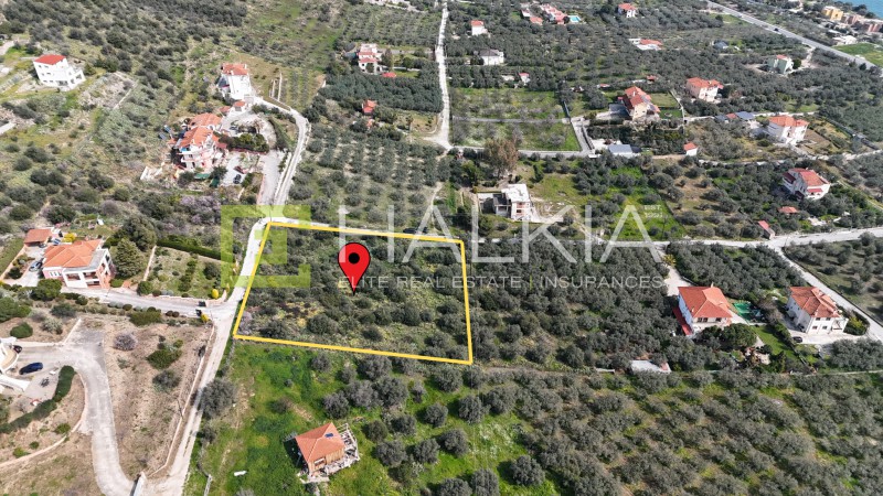Οικόπεδο 4.002 τ.μ. προς πώληση, Μάραθος Νέας Αγχιάλου