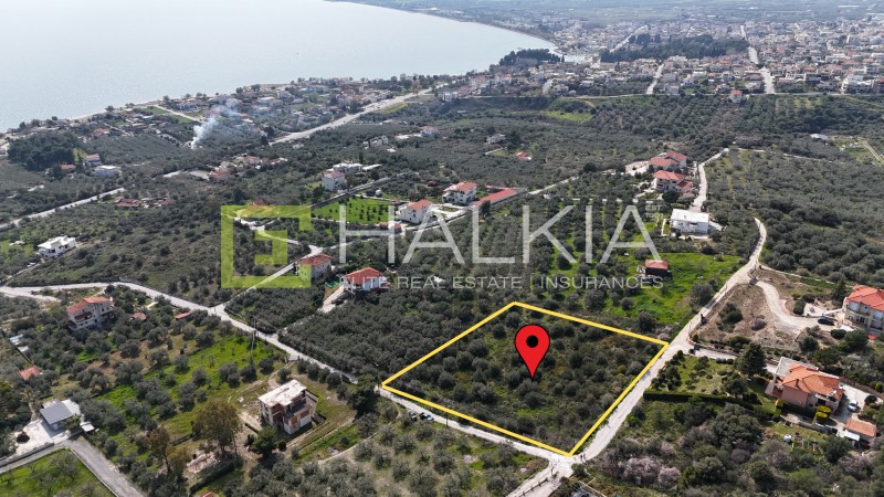 Οικόπεδο 4.002 τ.μ. προς πώληση, Μάραθος Νέας Αγχιάλου