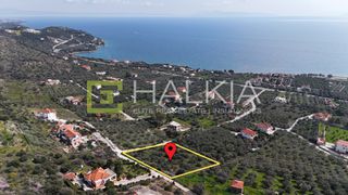 Οικόπεδο 4.002 τ.μ. για πώληση
