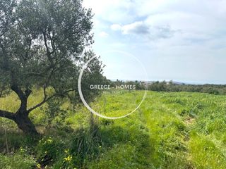 Αγροτεμάχια 6.102 τ.μ. για πώληση