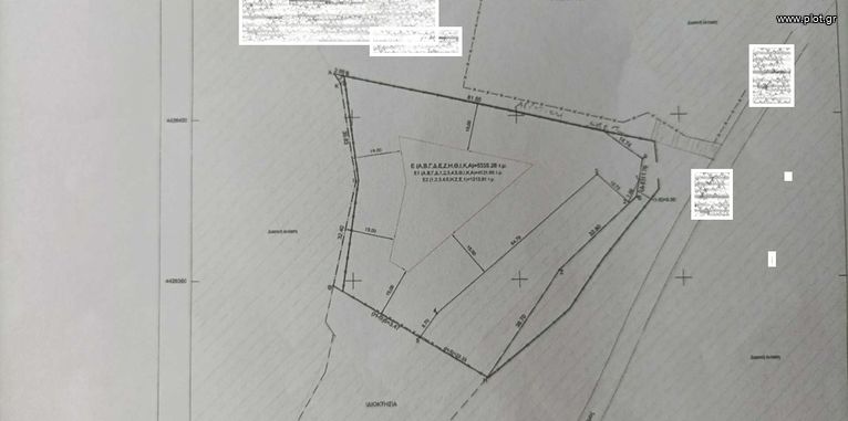 Αγροτεμάχια 4.300 τ.μ. προς πώληση