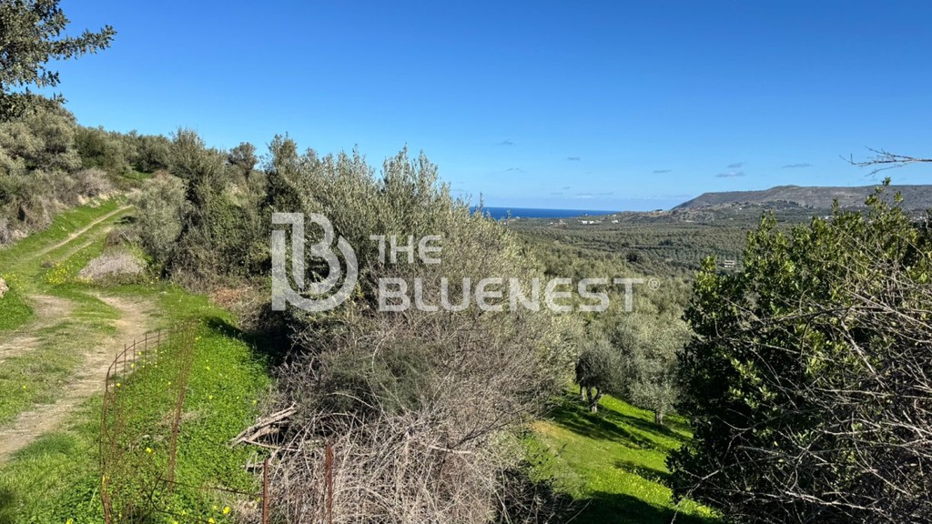 Οικόπεδο 5.000 τ.μ. πρός πώληση, Ν. Χανίων, Γεωργιούπολη